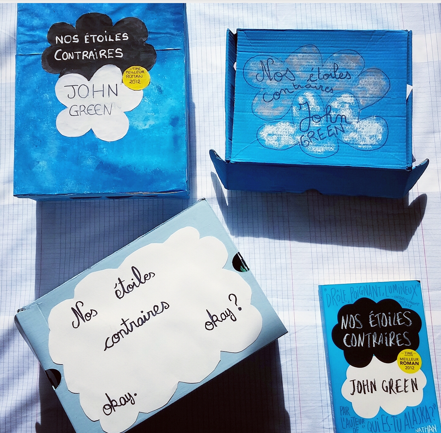 the fault in our stars-DIY-book box-boite-lecture-compte-rendu