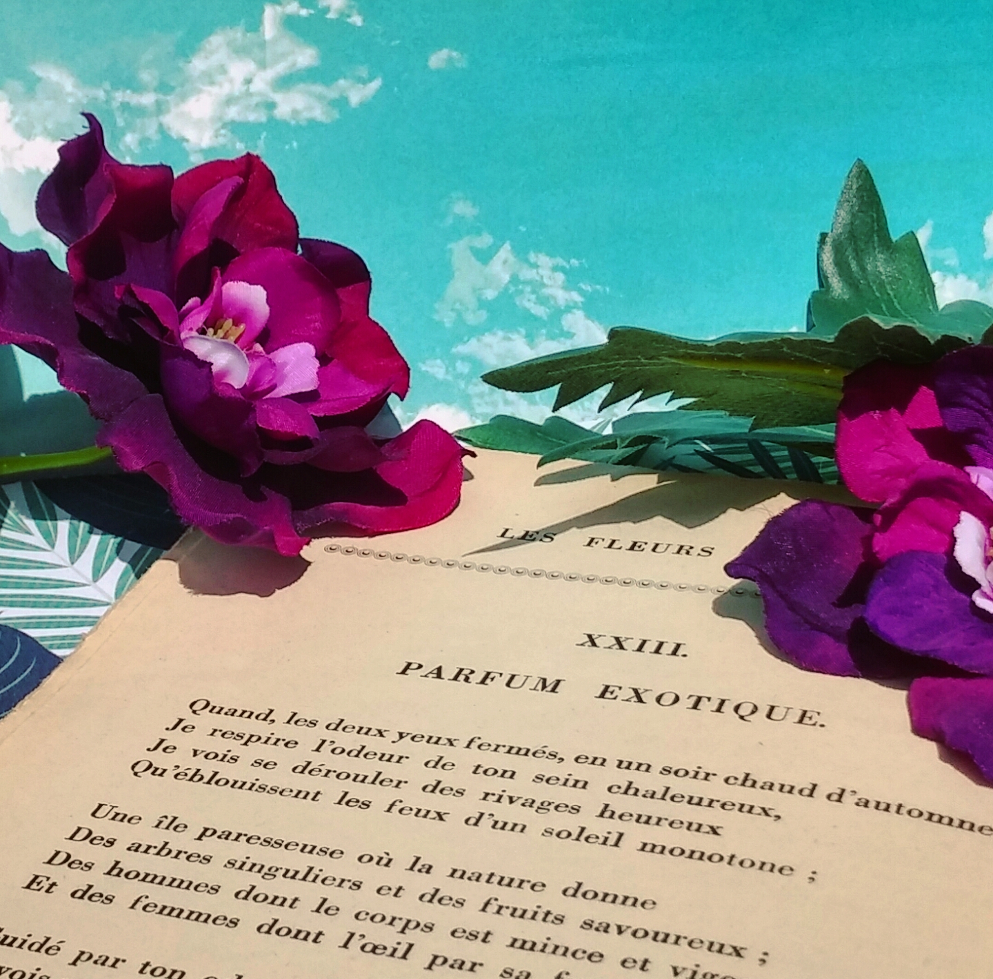 Parfum exotique Charles Baudelaire La Bande à Baudelaire
