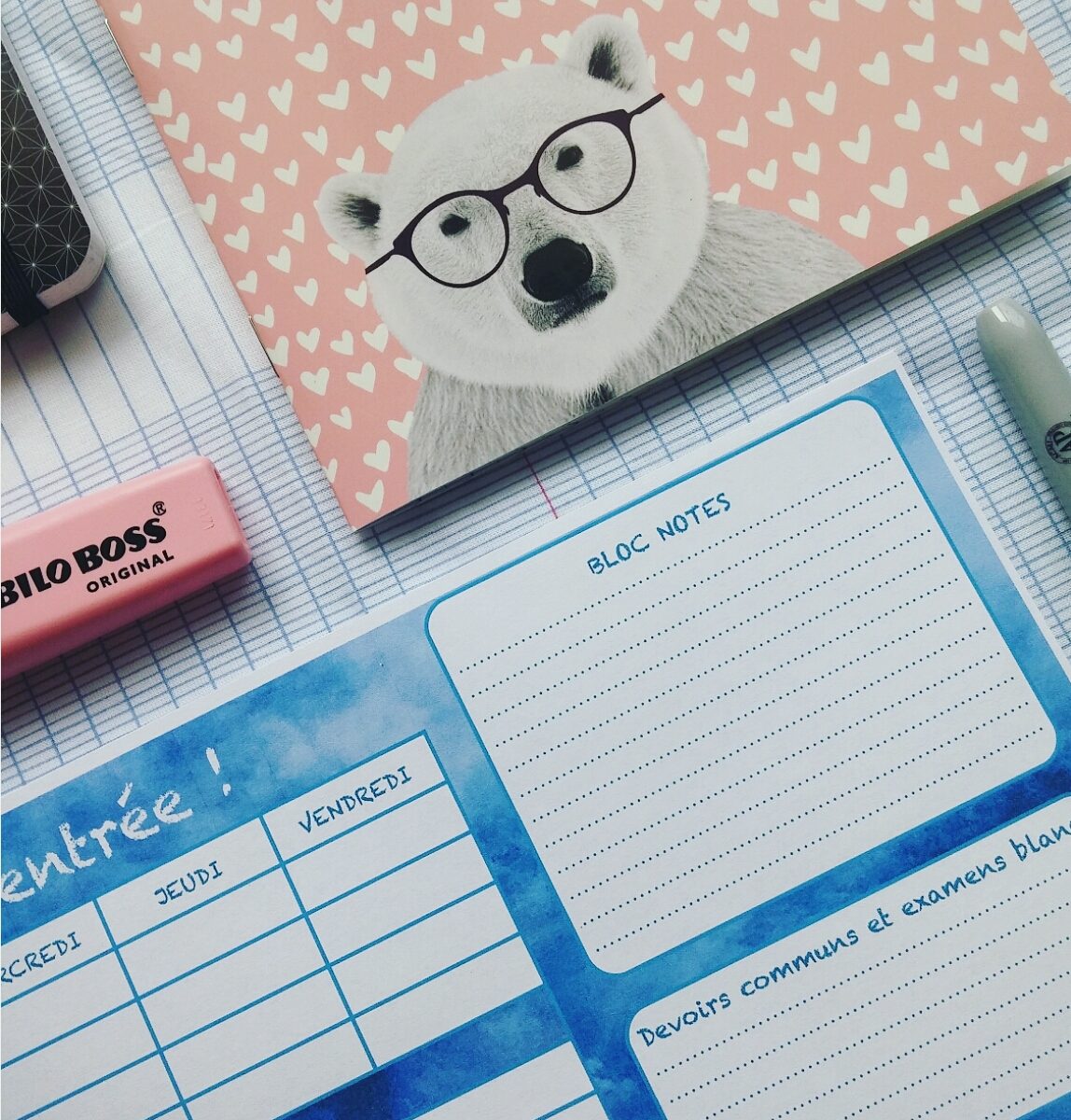 freebie prof rentrée pré-rentrée collège lycée professeur document gratuit fiche synthèse