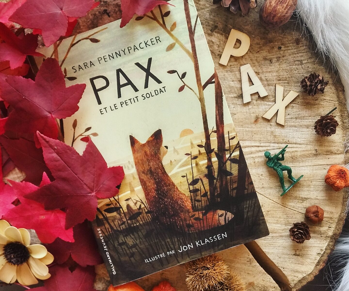 Pax et le petit soldat Sara Pennypacker roman littérature jeunesse Jon Klassen édition gallimard guerre amitié illustrations enfance lecture