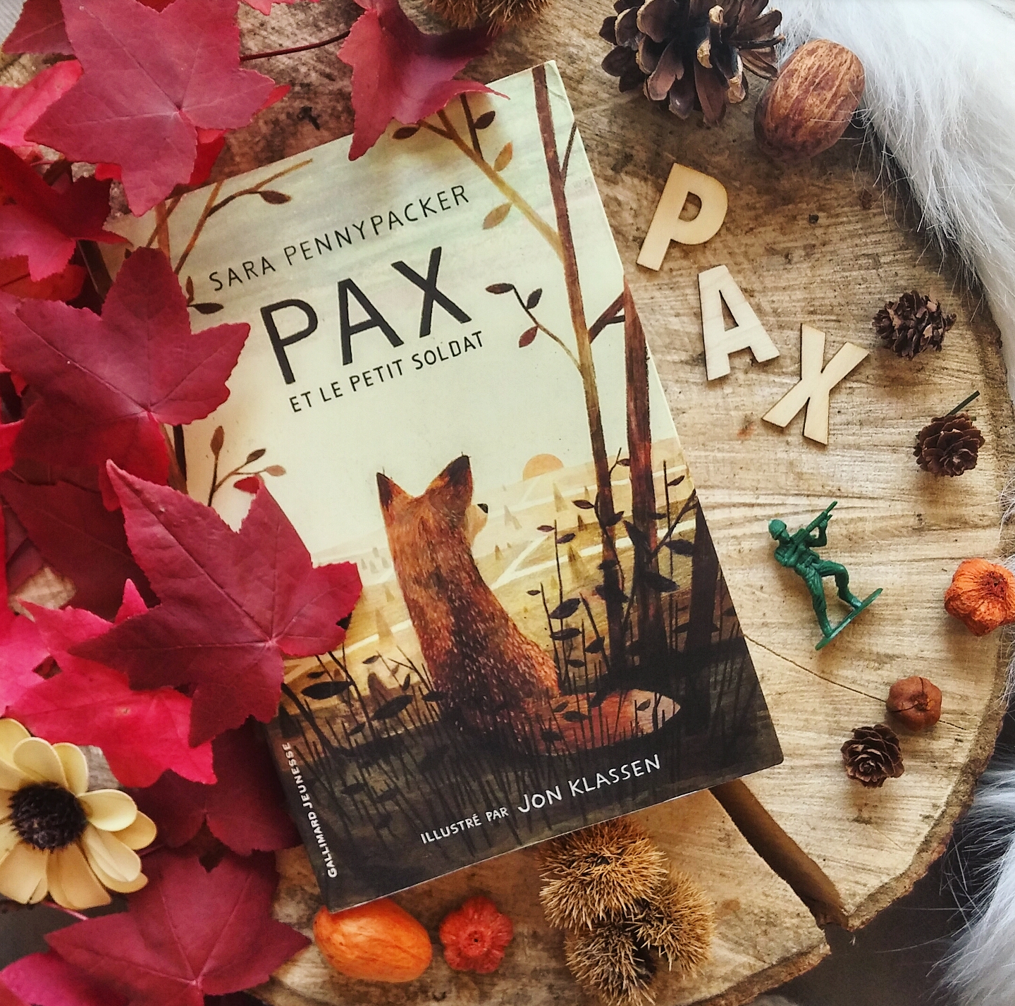 Pax et le petit soldat Sara Pennypacker roman littérature jeunesse Jon Klassen édition gallimard guerre amitié illustrations enfance lecture