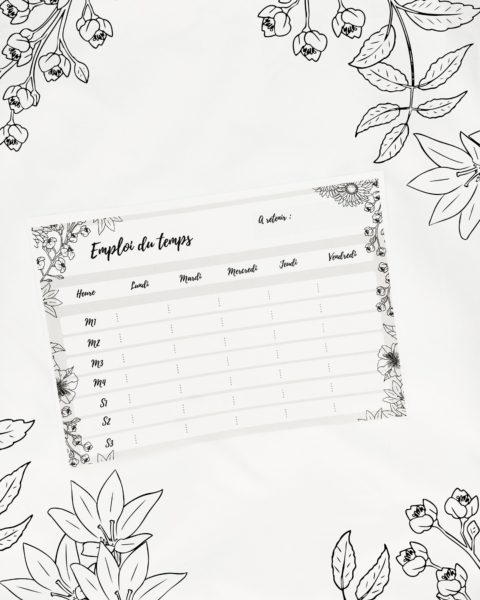 emploi du temps printable document prof gratuit à télécharger professeur kit de rentrée la bande à baudelaire