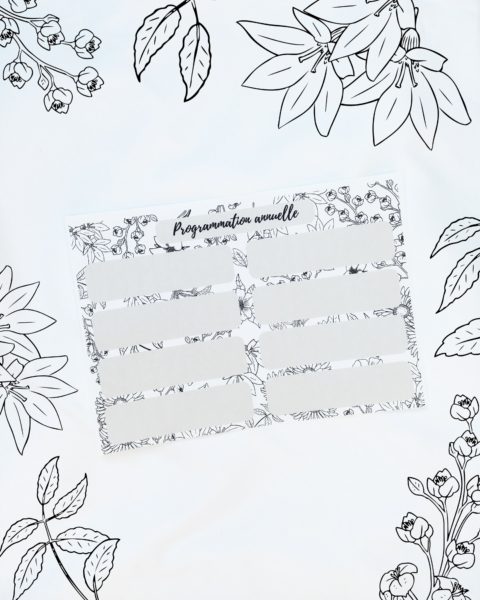 programmation annuelle printable document prof gratuit à télécharger professeur enseignant kit de rentrée la bande à baudelaire