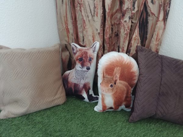 coin lecture espace lecture zone bibliothèque salle de classe école collège lecteur autonome