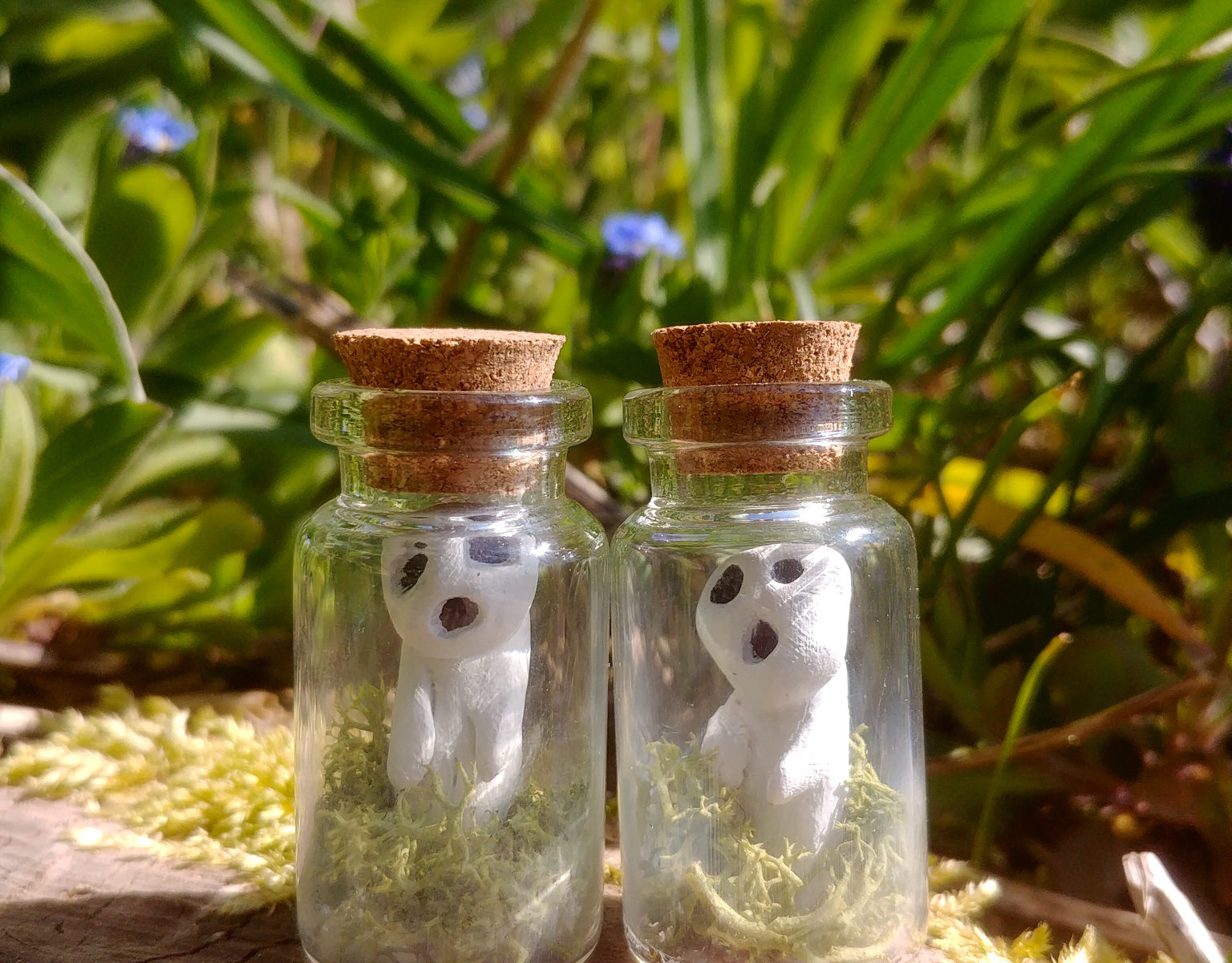 capturez un kodama kodama de poche