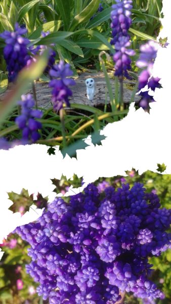 capturez un kodama Myazaki princesse Mononoké tutoriel sylvain