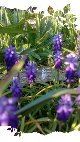 capturez un kodama Myazaki princesse Mononoké tutoriel