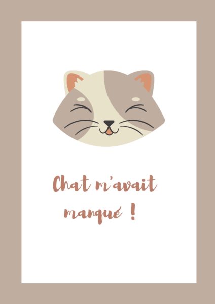 affiche salle de classe chat 