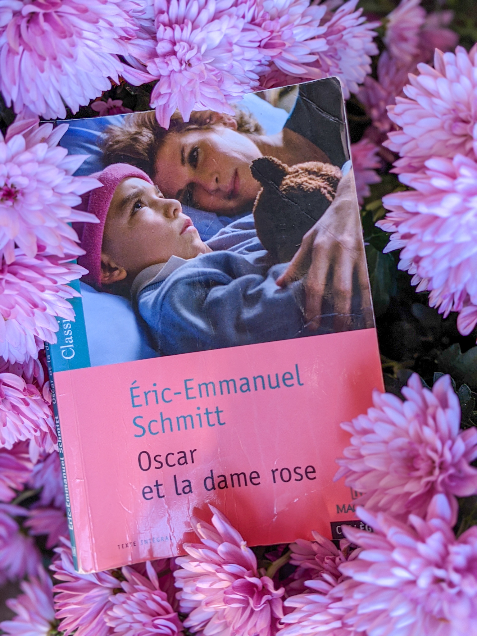 Oscar et la dame rose La Bande à Baudelaire Oscar et la dame rose La Bande à Baudelaire