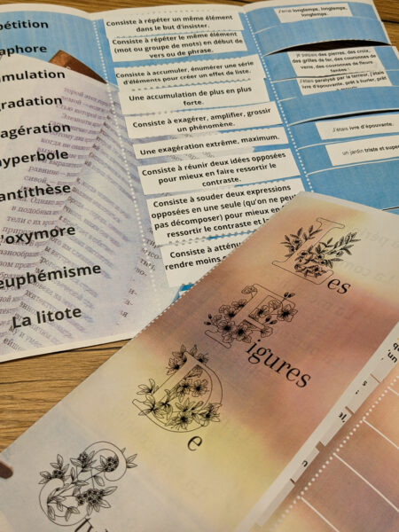 leçon à manipuler La bande à Baudelaire