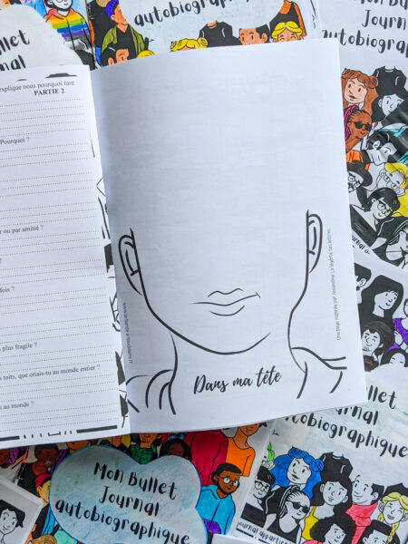 bullet journal autobiographique La bande a baudelaire autobiographie 3eme se raconter