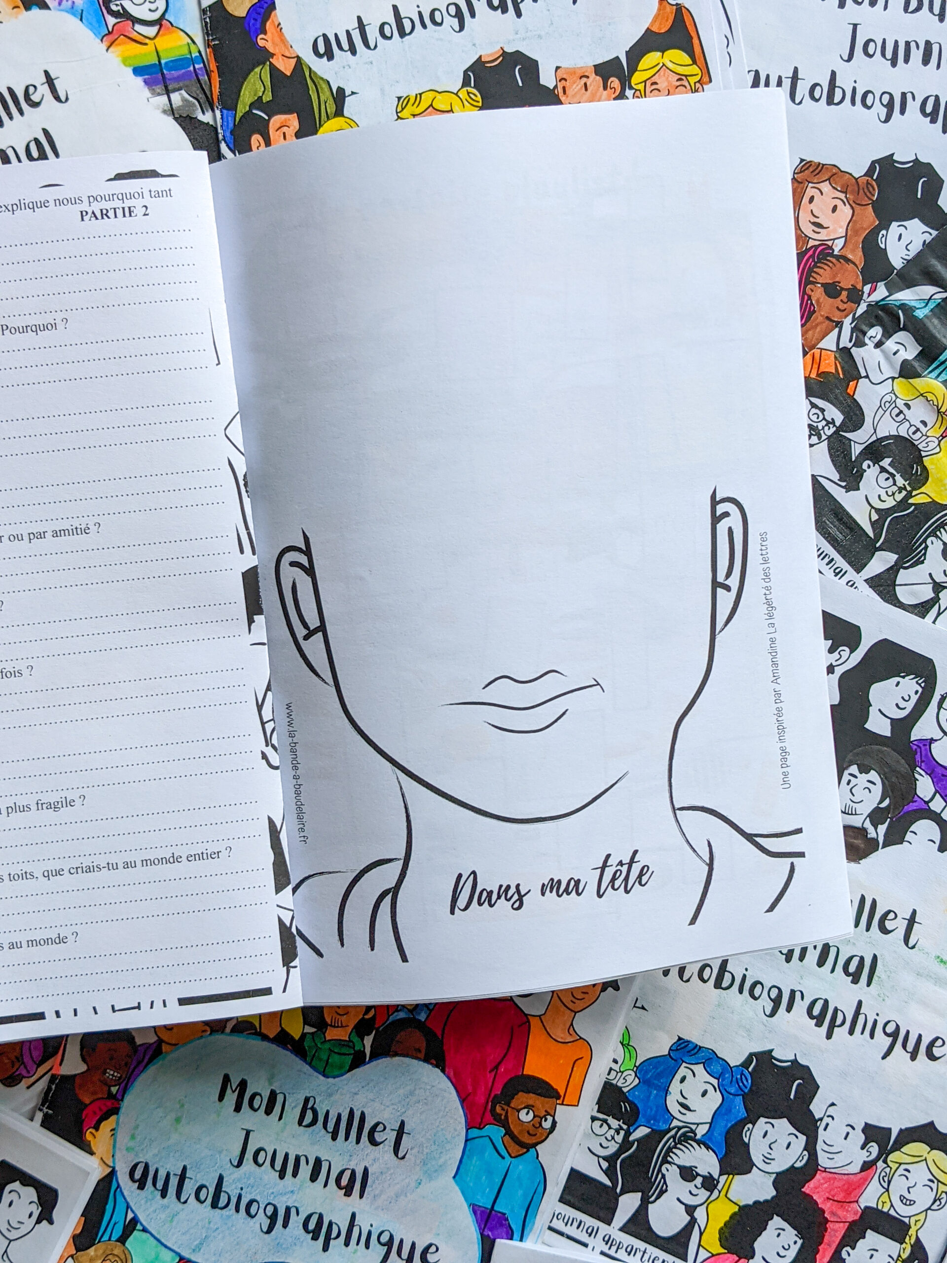 bullet journal autobiographique La bande a baudelaire autobiographie 3eme se raconter