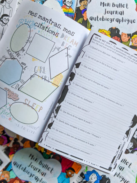 bullet journal autobiographique La bande a baudelaire autobiographie 3eme